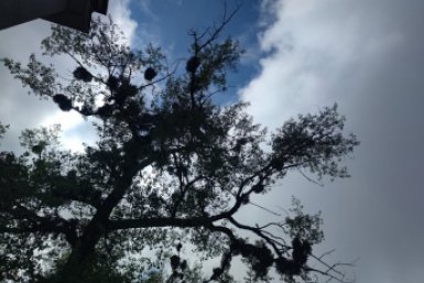 Глава Невинномысска опроверг слухи о ЧП из-за БПЛА, попавшего в учреждение