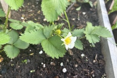 Тематическое фото ChitaMedia