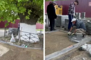 Вокруг 200-летнего дуба на Ставрополье благоустроят территорию
