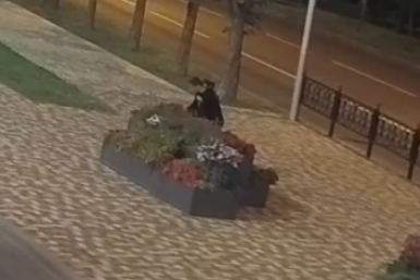 В полицию заявили на вандалов, укравших цветы из новых вазонов в центре Ставрополя