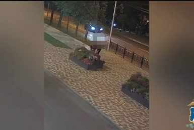 На жителя Ставрополя возбудили три уголовных дела за кражу растений из клумб