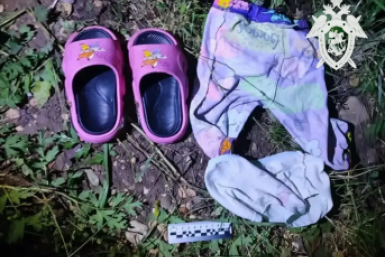 После смерти маленькой девочки и пропажи её брата возбудили дело на Ставрополье