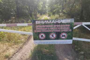 Ограничения в лесах Ставрополья продлили из-за высокой пожароопасности