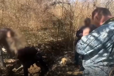 Кадр из видео МВД Крыма