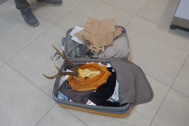 У туриста не было документов на такой багаж ФТС России