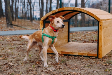 Тематическое фото Мария Смитюк, ИА PrimaMedia