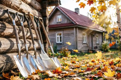 В октябре обязательно увожу на дачу 5 пачек лимонной кислоты: лопаты чистые, ягоды вкусные, цветы пышные - простой лайфхак