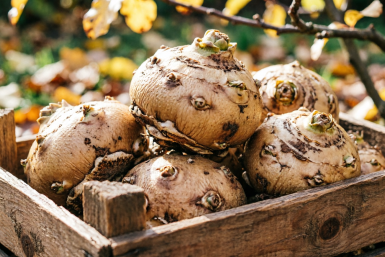 Тематическое фото Создано при помощи ИИ