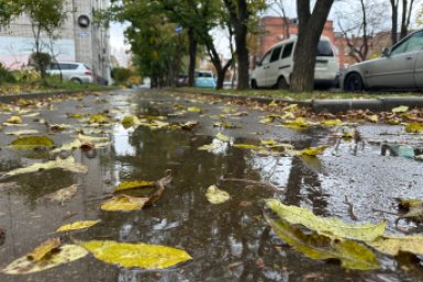 О погоде в Уссурийске Александр Шепырев, ИА UssurMedia