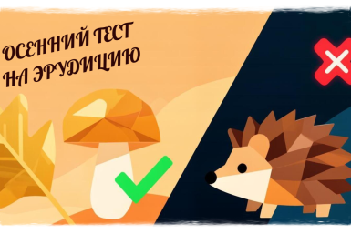 Тест Создано при помощи ИИ