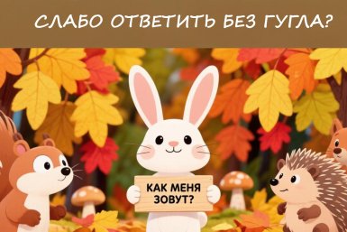 Осенний тест для знатоков природы: 90% теряют баллы на вопросе о зайчатах
