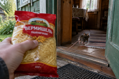 Тематическое фото Создано при помощи ИИ