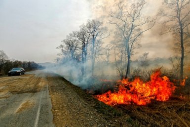 Внимание: на Ставрополье ожидается чрезвычайная пожароопасность 27 и 28 октября