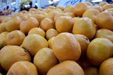 мандарины, фрукты, плоды, сад, урожай, магазин, продукты Мария Карева, ИА Stavropol.Media