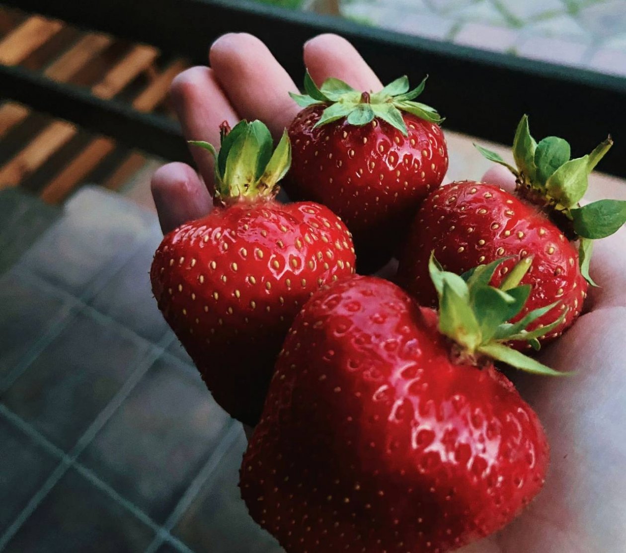 Тематическое фото ИА SevastopolMedia