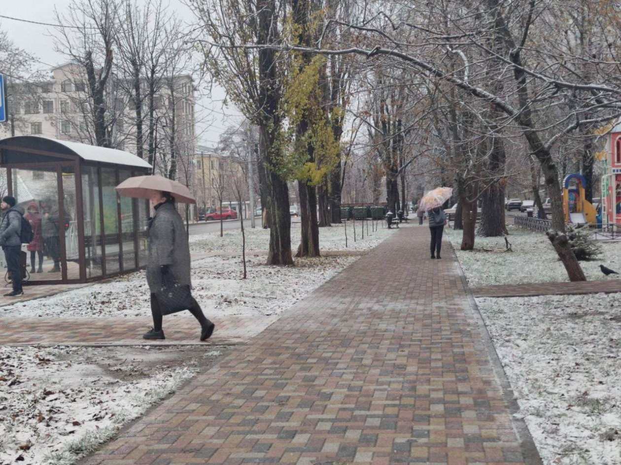 Тематическое фото ИА Stavropol.Media