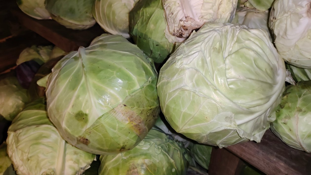 Капуста Автора