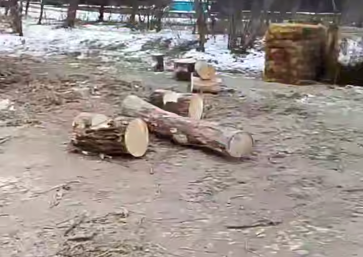 Место ЧП Соцсети Михаила Миненкова