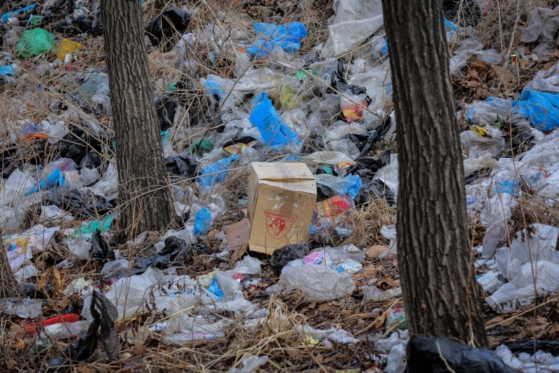 Рейтинг опасных незаконных свалок для ликвидации в первую очередь составили на Ставрополье Антон Балашов, ИА PrimaMedia