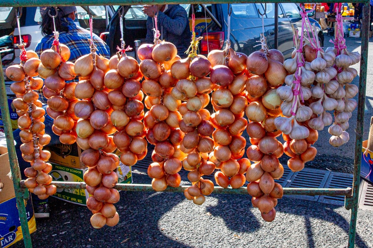Такие сладкие, что даже дети нос не воротят: салатные сорта лука с мягким вкусом и высокой лежкостью Мария Смитюк, ИА PrimaMedia.ru