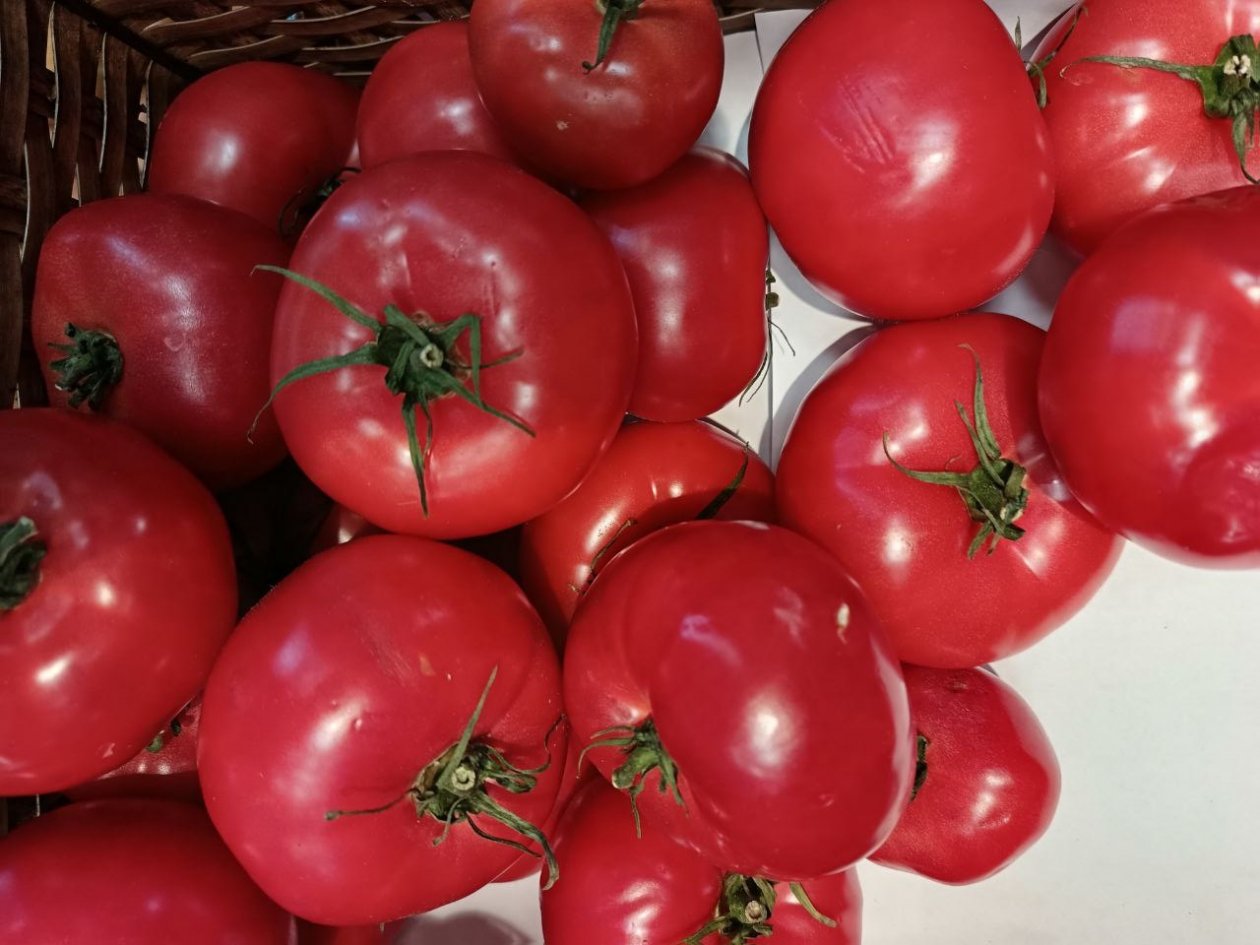 От малышей до великанов по 300 гр: 3 сорта томатов слаще конфет - дети едят прямо с куста ИА StavropolMedia