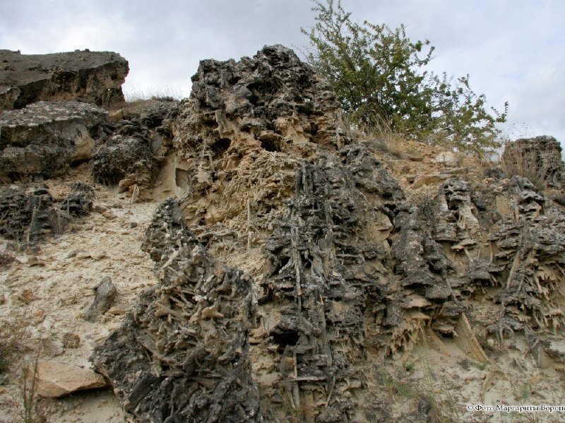 Минприроды Ставропольского края