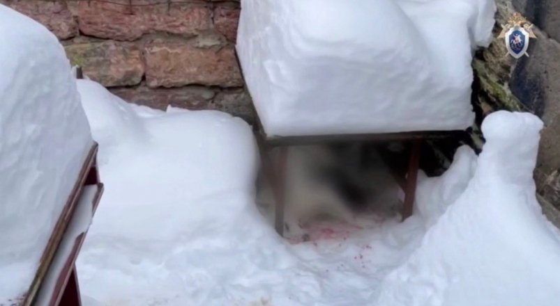 Пресс-служба СУ СКР по Ставрополью