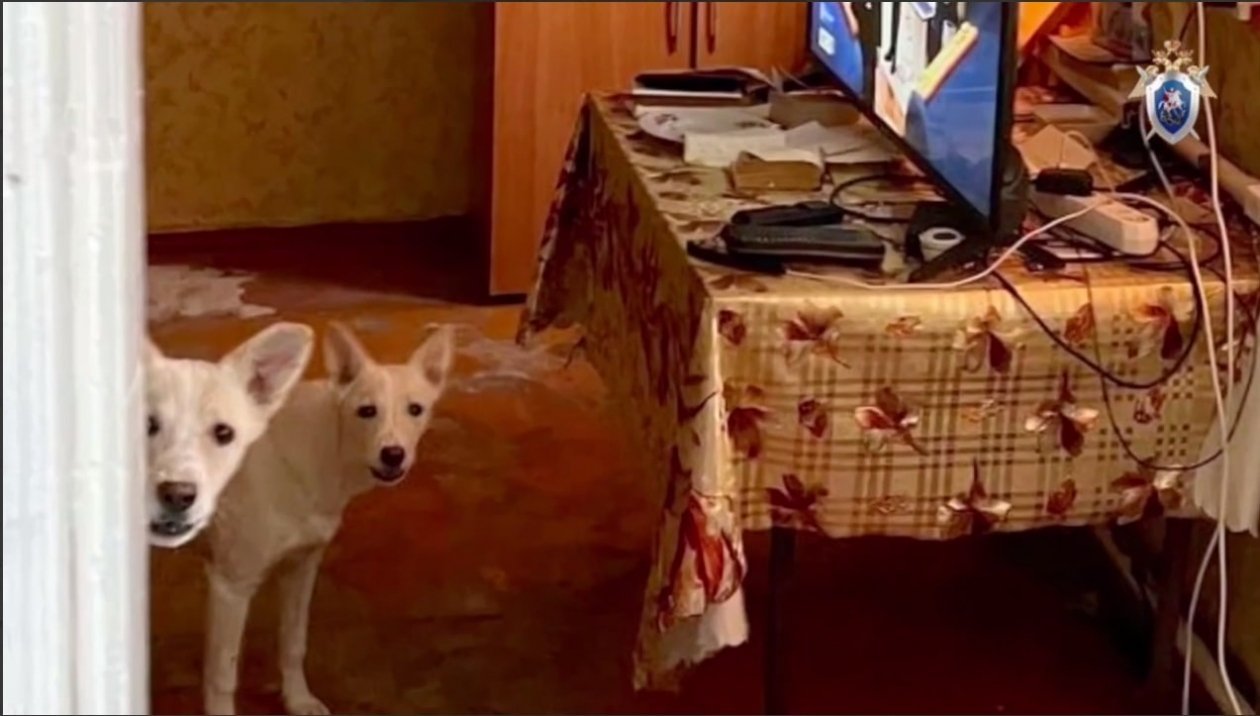 Пресс-служба СУ СКР по Ставрополью