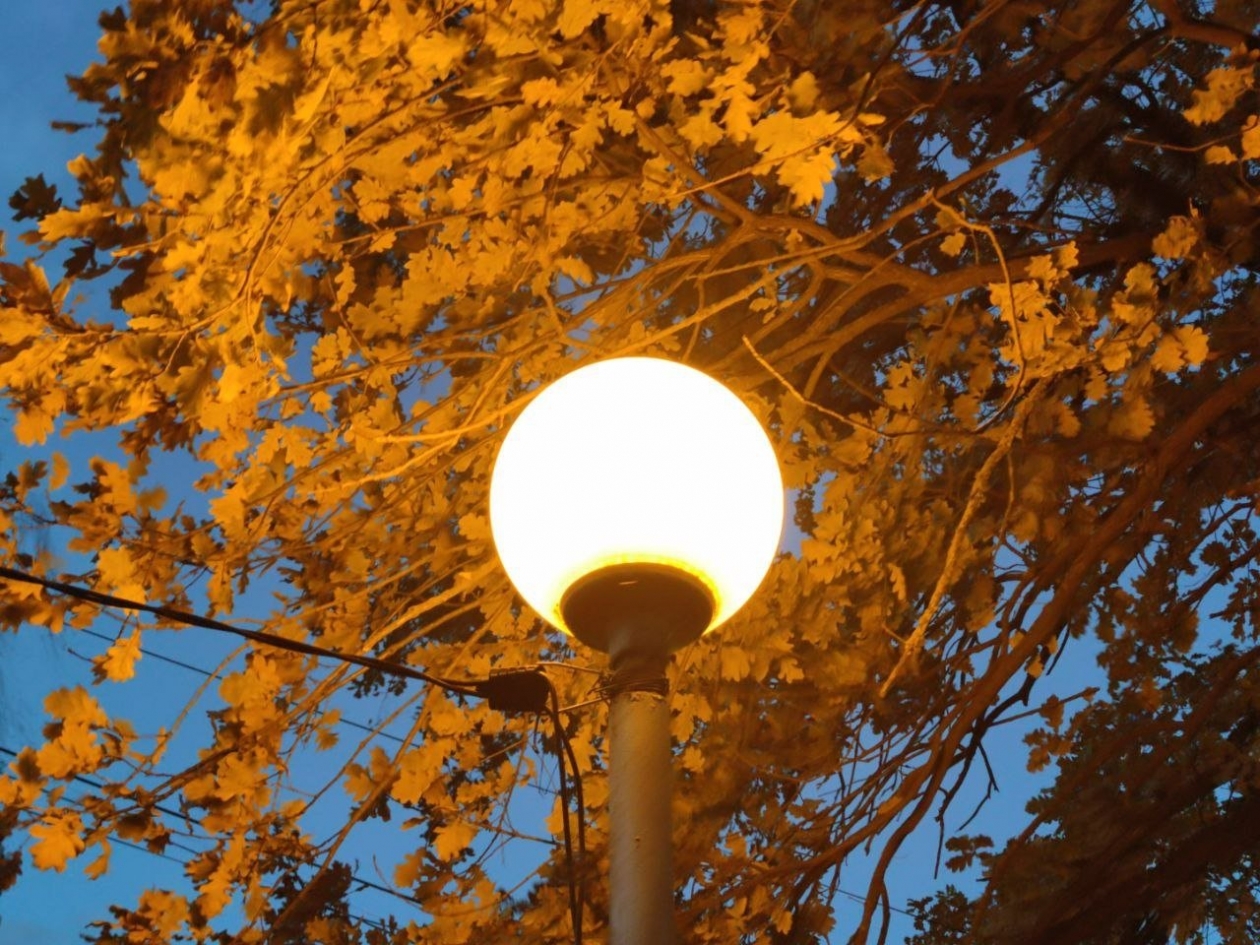 Тематическое фото ИА Stavropol.Media