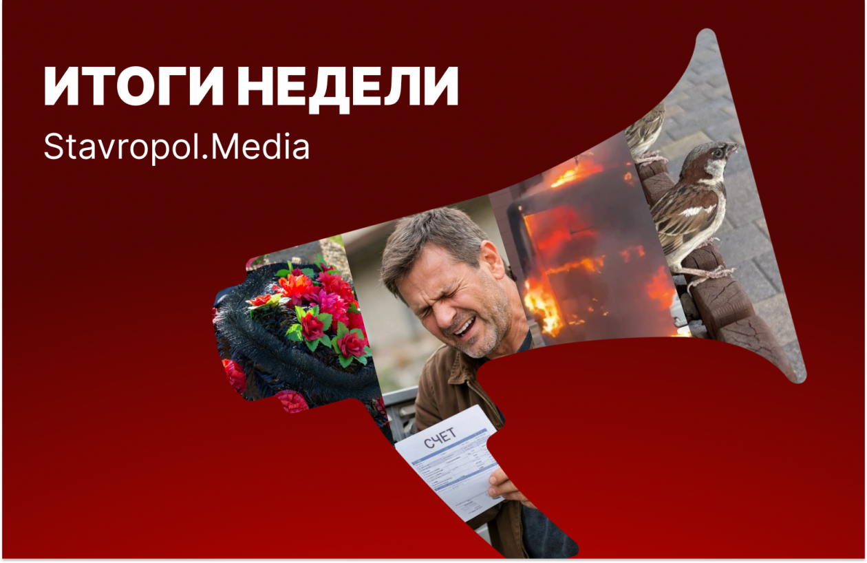 Год без дочери, баснословные цены на ЖКУ и перепись воробьев: неделя на Ставрополье ИА Stavropol.Media