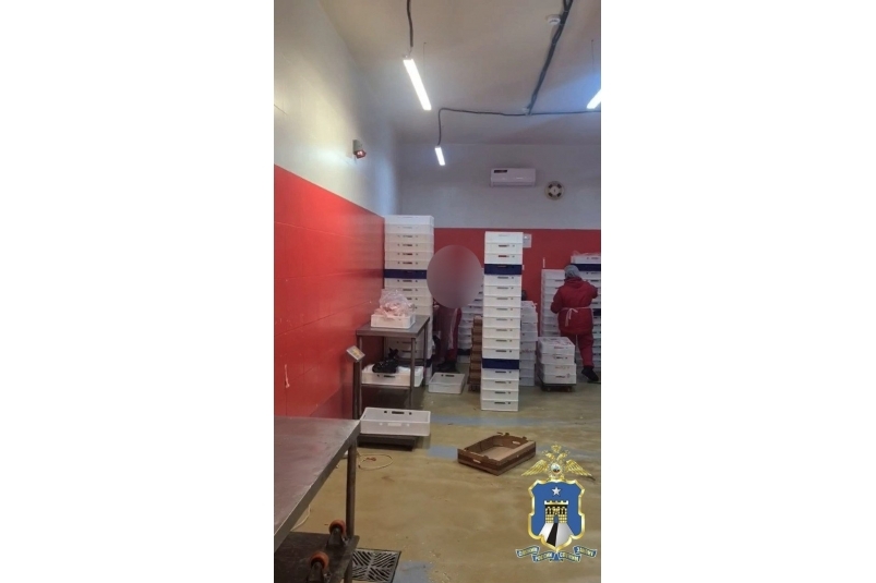 16 дел о нарушении миграционного закона возбудили за 2 недели на Ставрополье Полиция Ставрополья