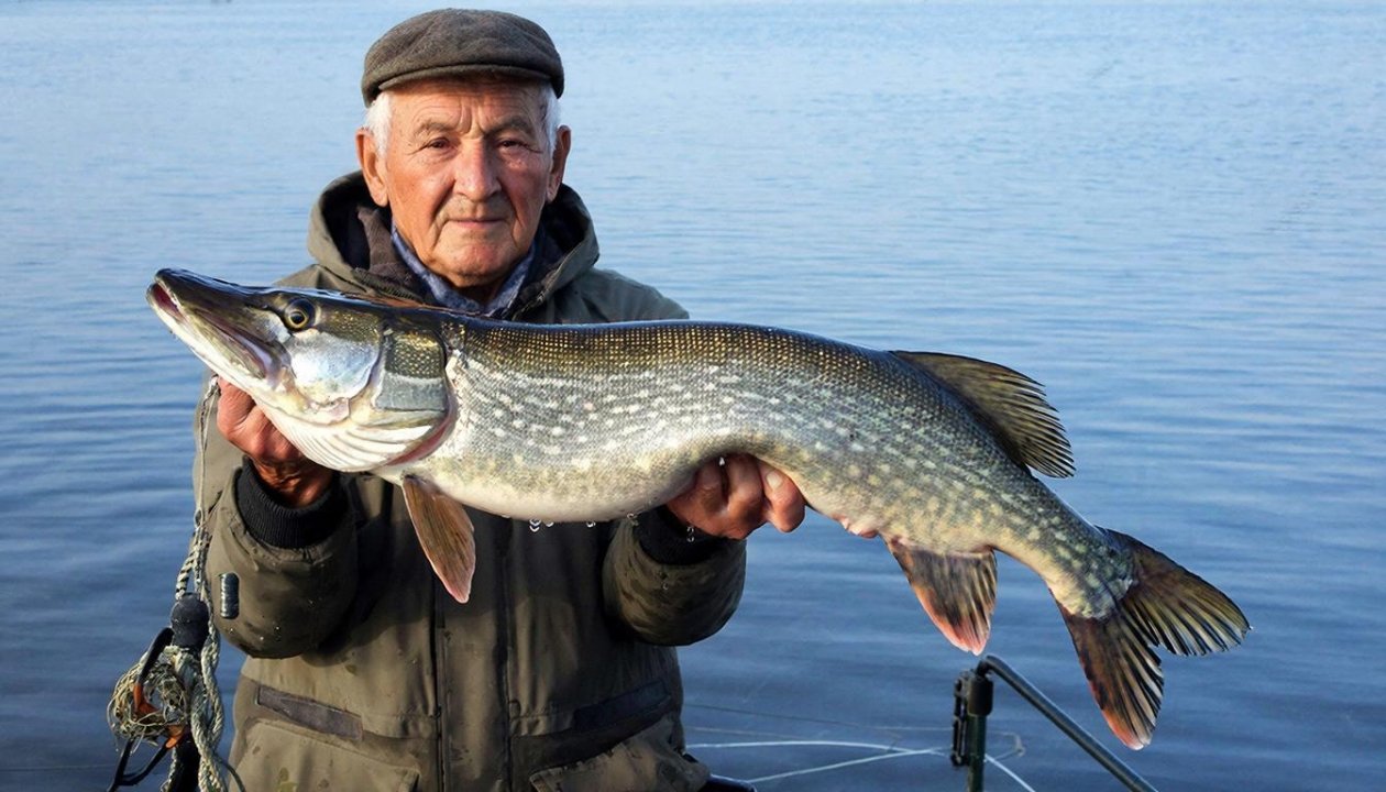 Весна пришла - и щука проснулась: секреты клёва хищницы Создано при помощи ИИ