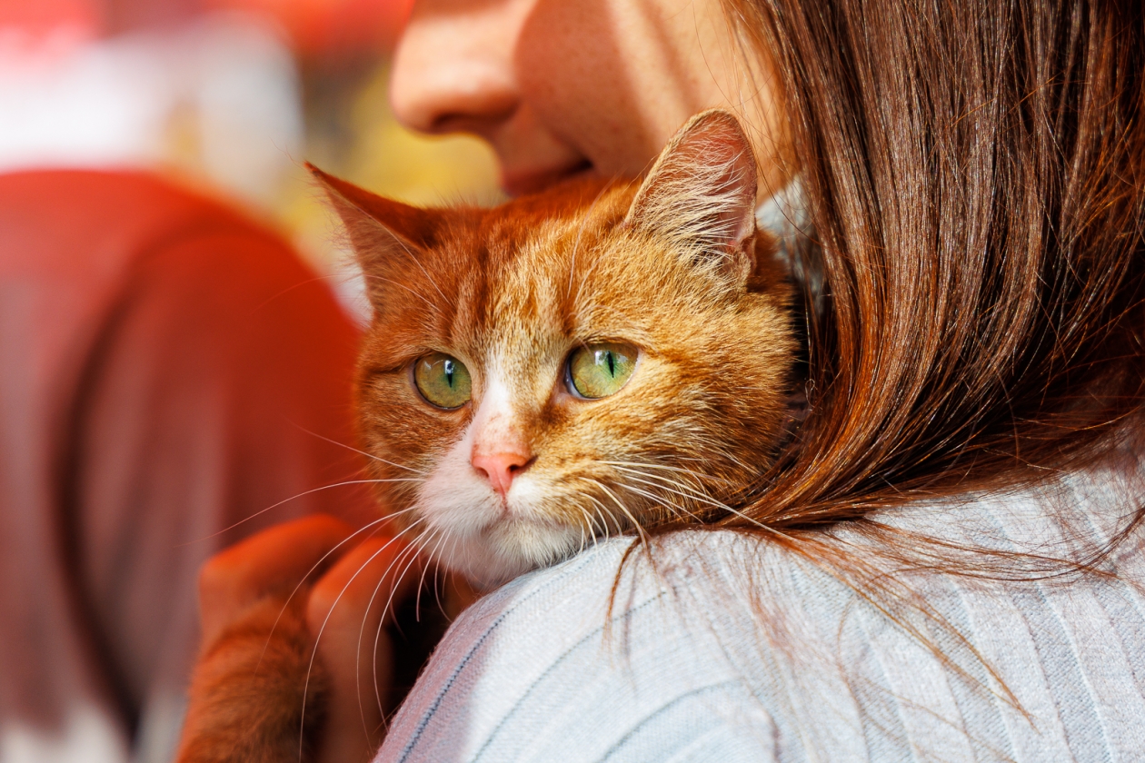 Тематическое фото Евгений Кулешов, ИА PrimaMedia