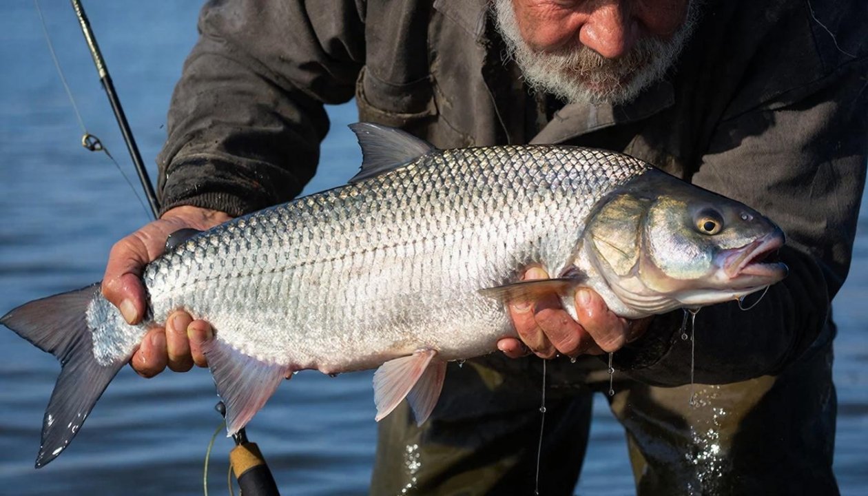Силикон отдыхает: на что ловить весной, когда хищник игнорирует всё привычное Создано при помощи ИИ