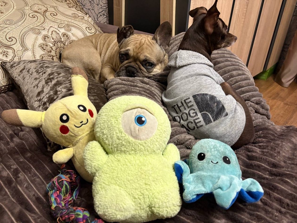 Тематическое фото ИА Stavropol.Media