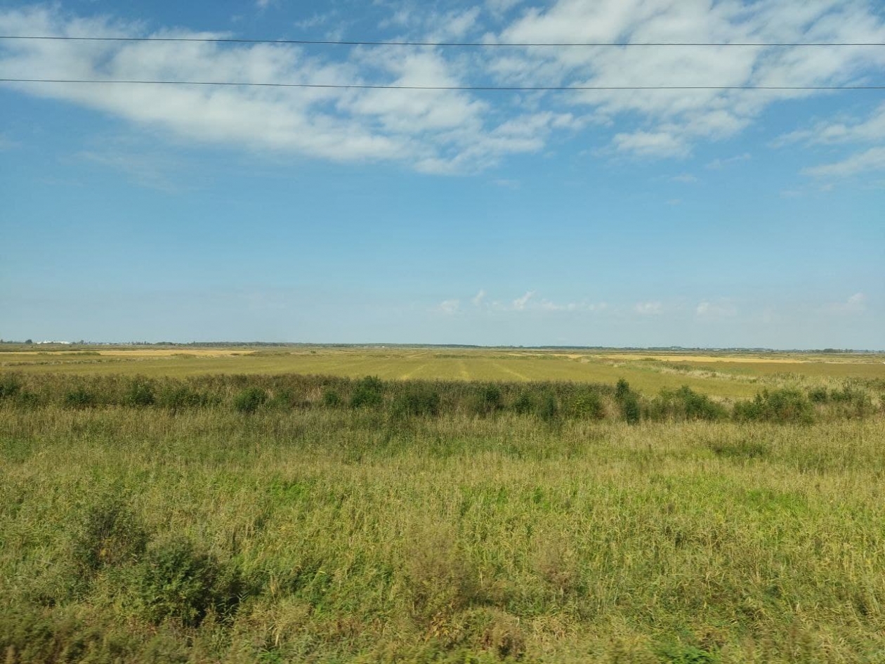 Прокуратура вернула государству почти 5 тысяч га сельхозземель на Ставрополье Петр Максимов