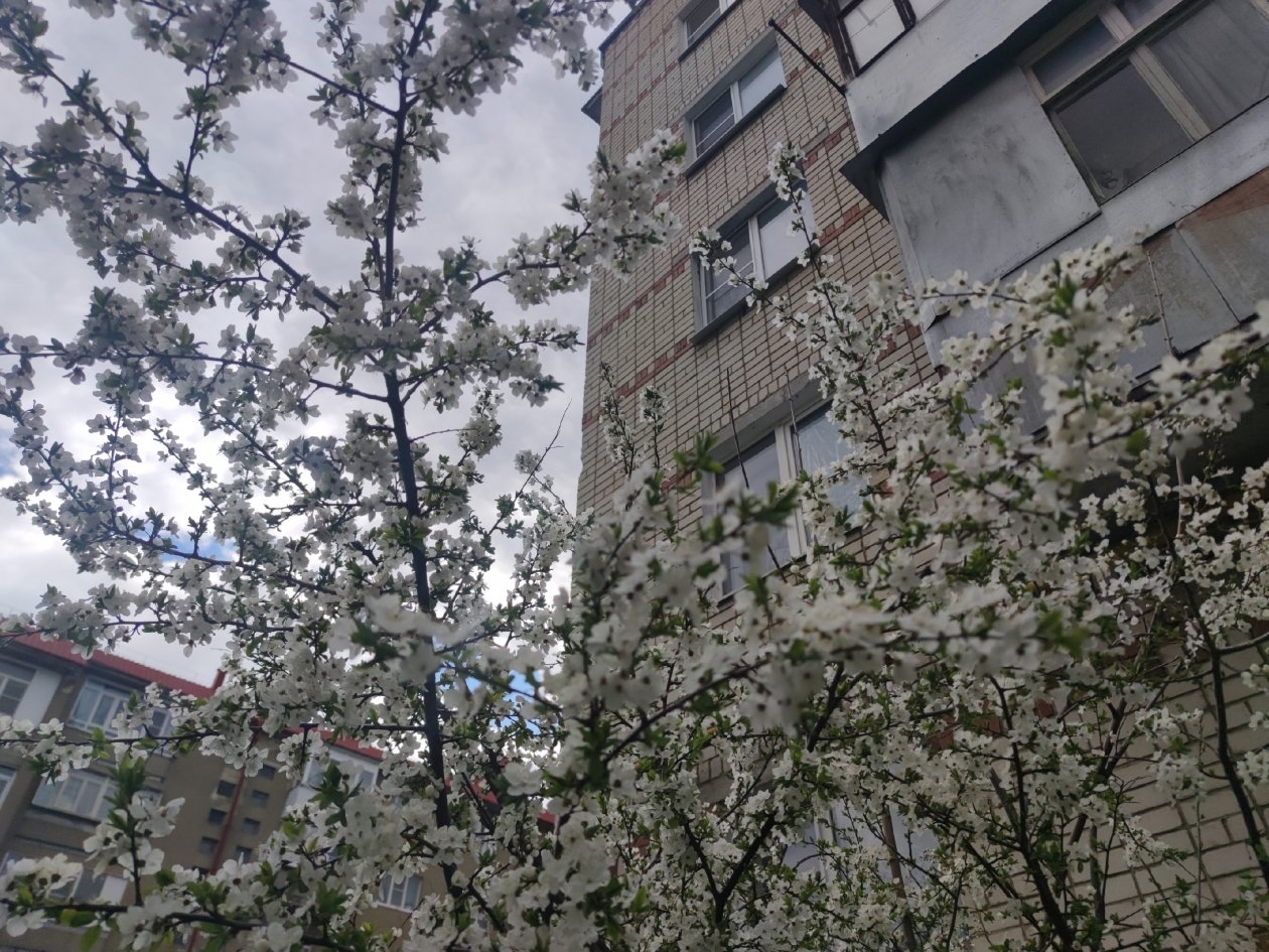 Контрастами температур удивит погода Ставрополья на выходных ИА Stavropol.Media