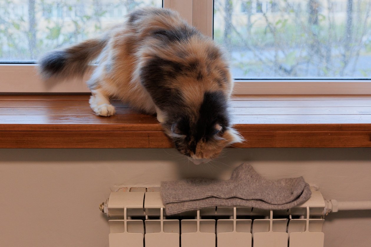 Ещё несколько городов и округов Ставрополья определили дату отключения отопления Яна Гайдук, ИА PrimaMedia