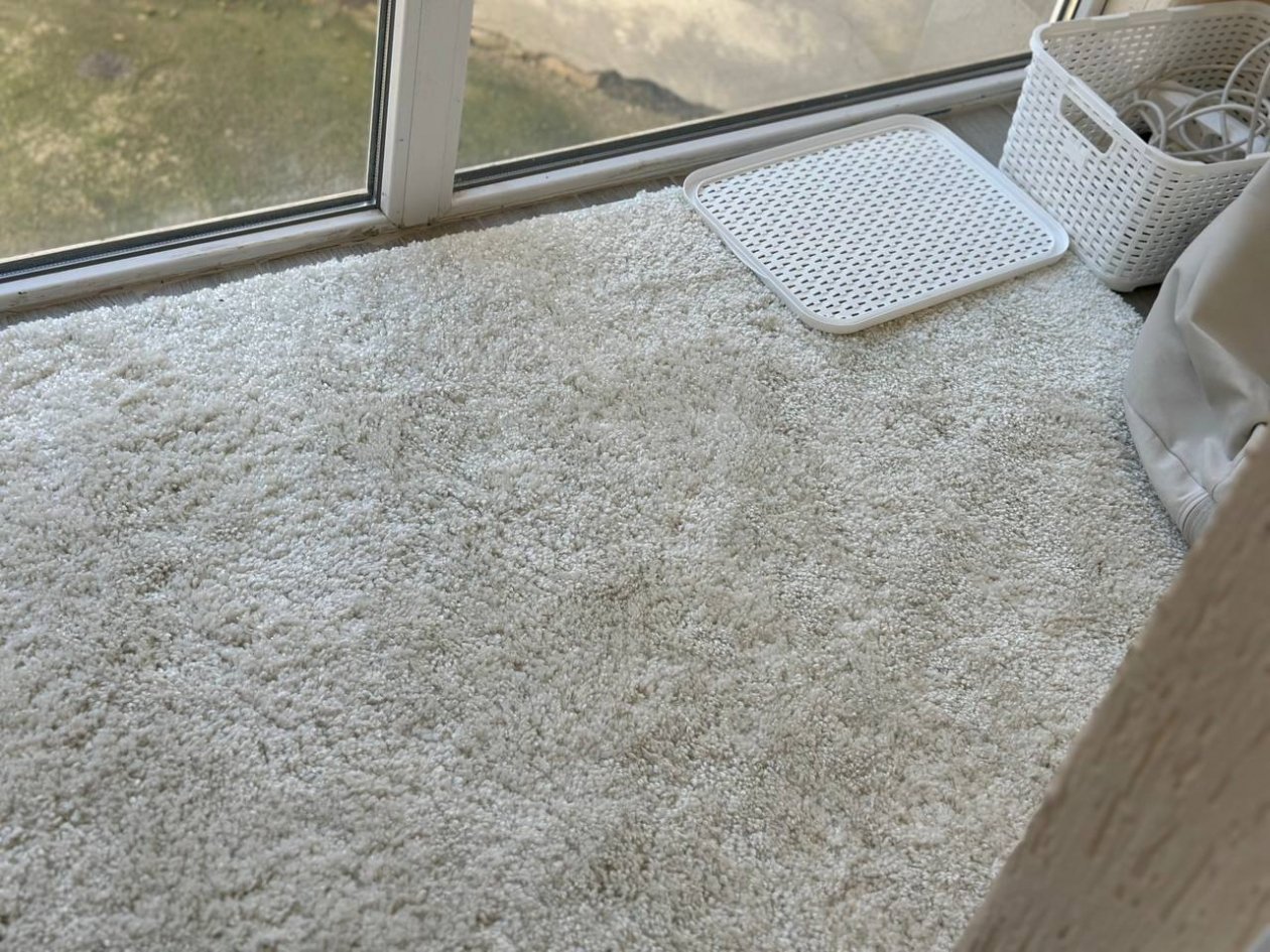 Тематическое фото ИА StolicaMedia