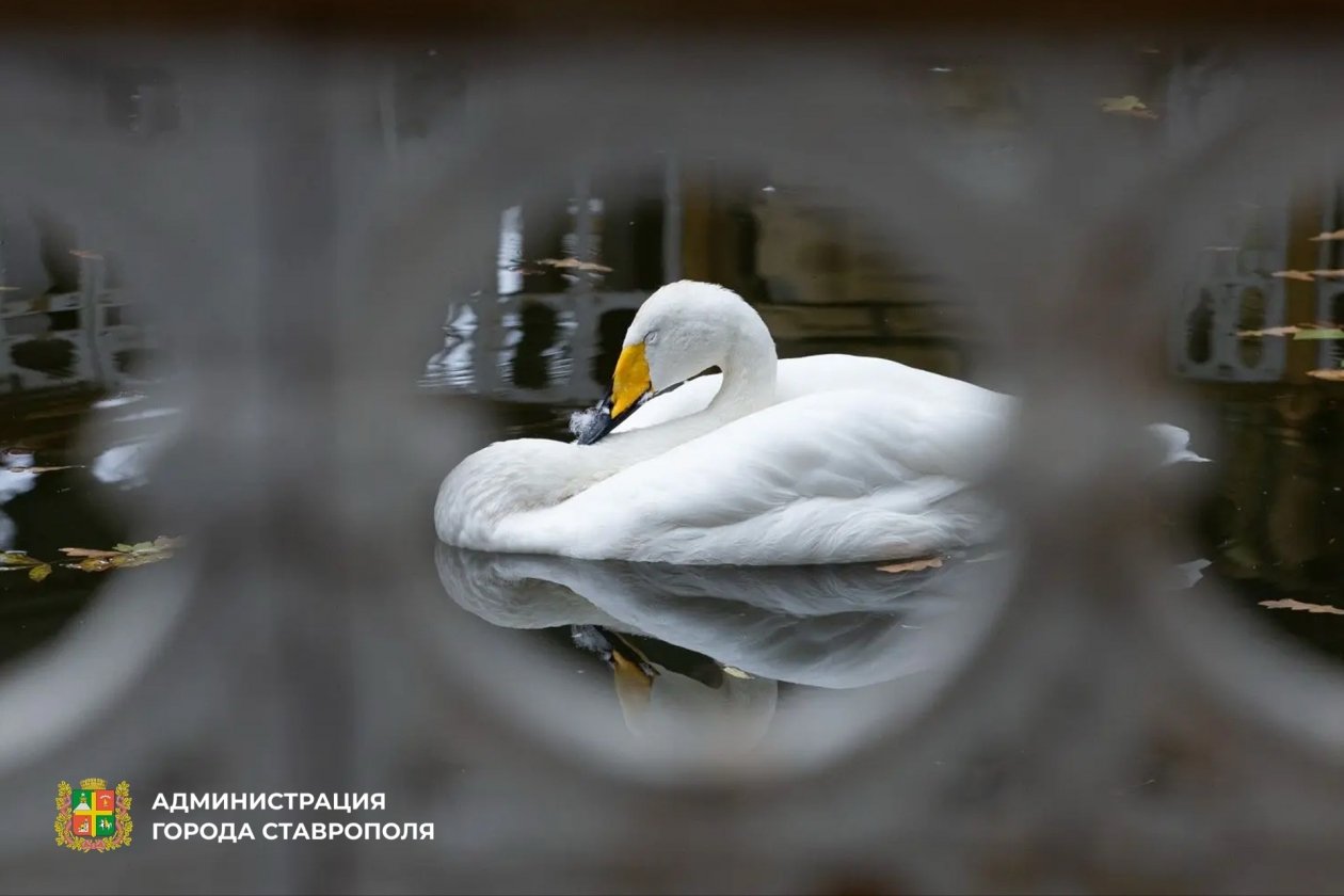 Администрация Ставрополя