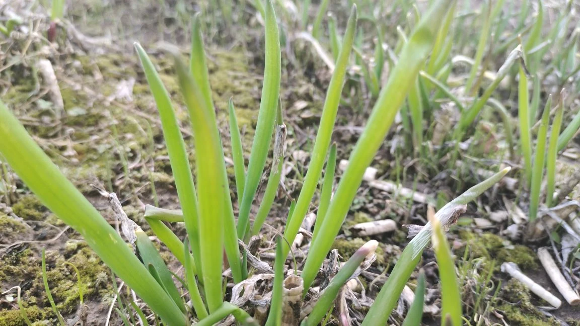 Тематическое фото ИА StavropolMedia