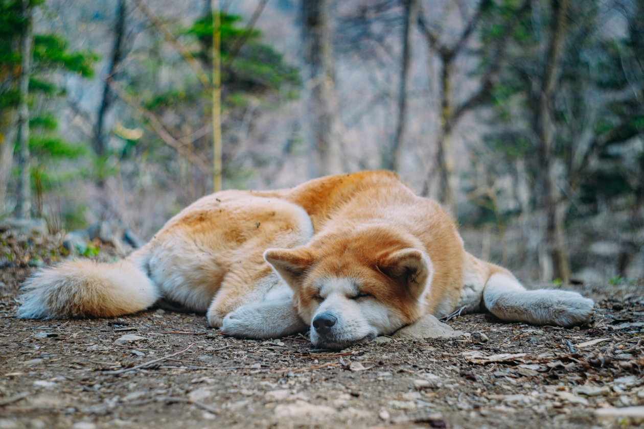 Тематическое фото Мария Смитюк, ИА PrimaMedia