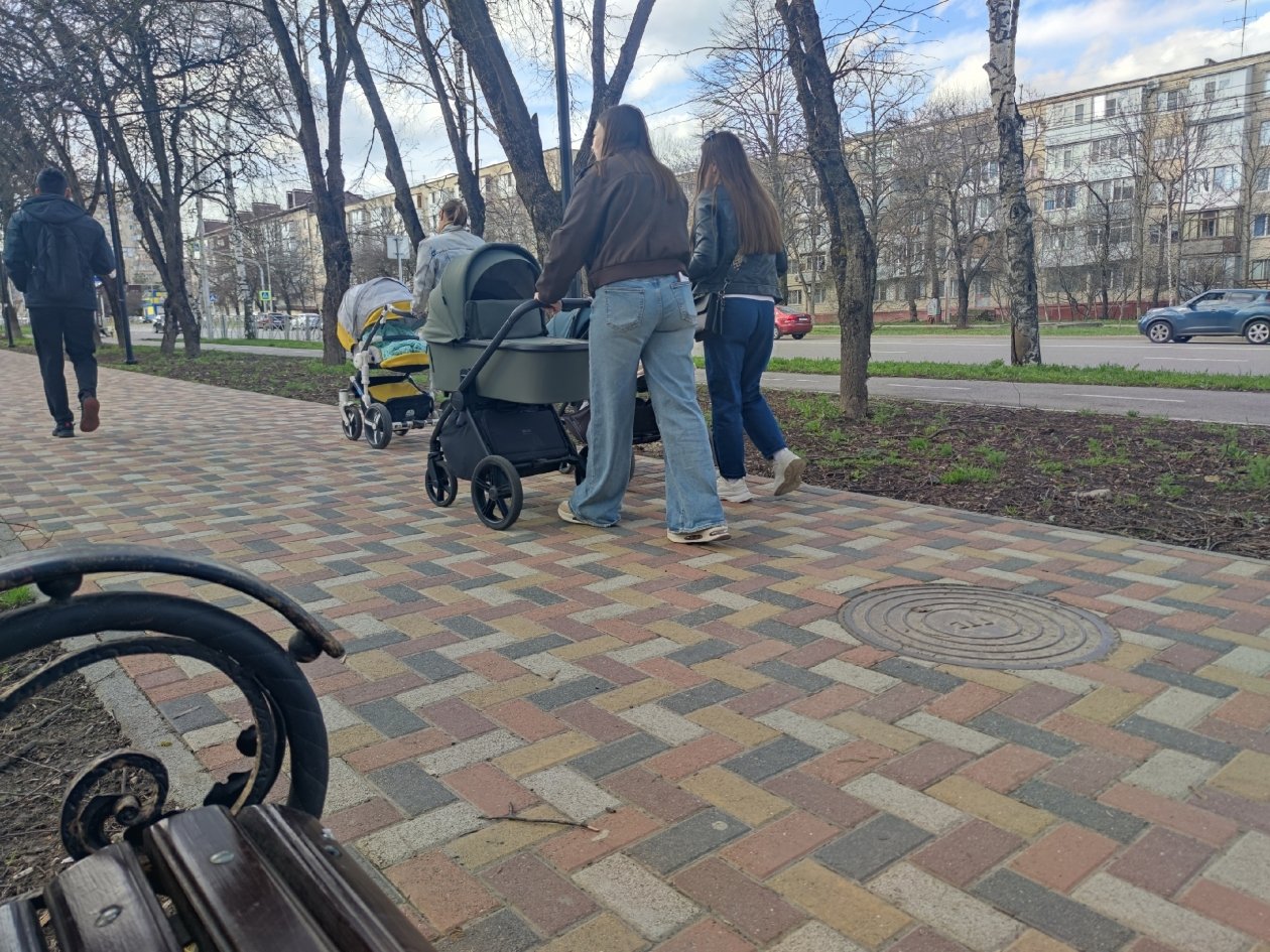 Онлайн-консультацию о едином пособии проводит СФР Ставрополья со Stavropol.Media ИА Stavropol.Media