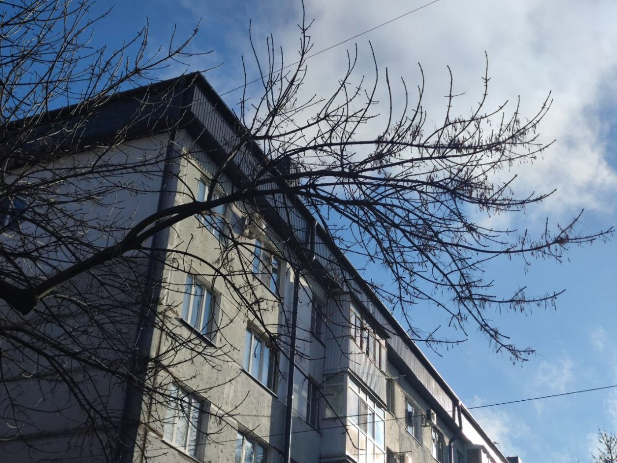 Тематическое фото ИА Stavropol.Media