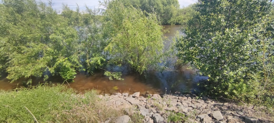 На Ставрополье уровень воды в реке Калаус на 2 см выше опасной отметки Марина  Померанцева , ИА EAOMedia