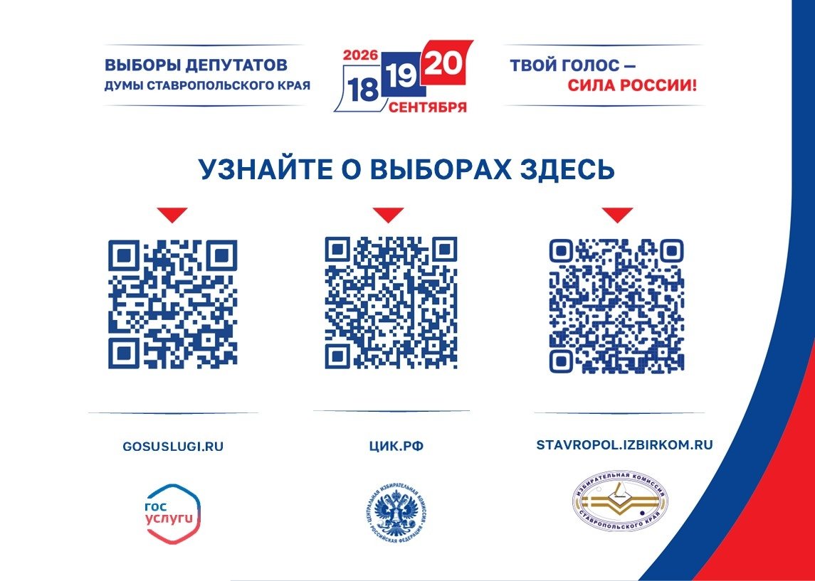 Цифровые сервисы