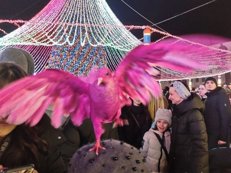 Морозный, снежный, но солнечный: лучшие фото января в подборке Stavropol.Media