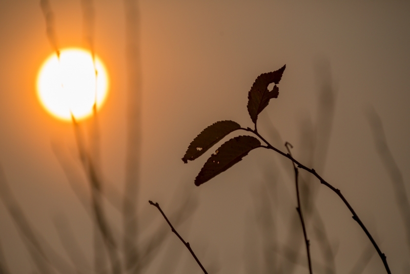 На планету надвигается &quotадова&quot жара Александр Ратников, ИА PrimaMedia