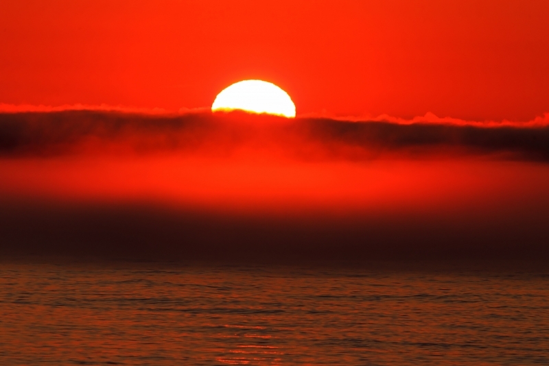 Готовьтесь к пеклу, синоптики пообещали самое жаркое лето в истории Александр Хитров, ИА PrimaMedia