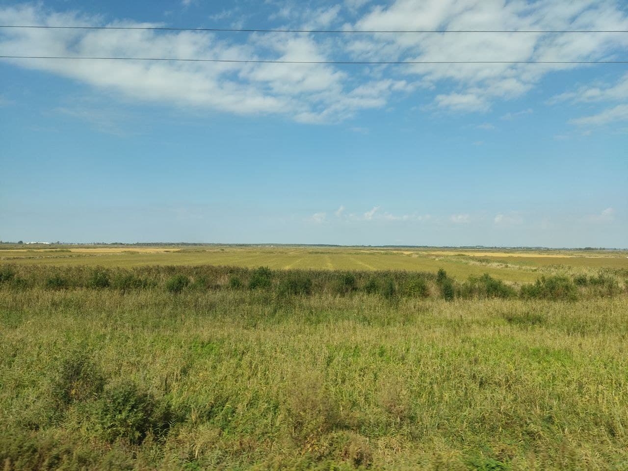 Прокуратура вернула государству почти 5 тысяч га сельхозземель на Ставрополье Петр Максимов